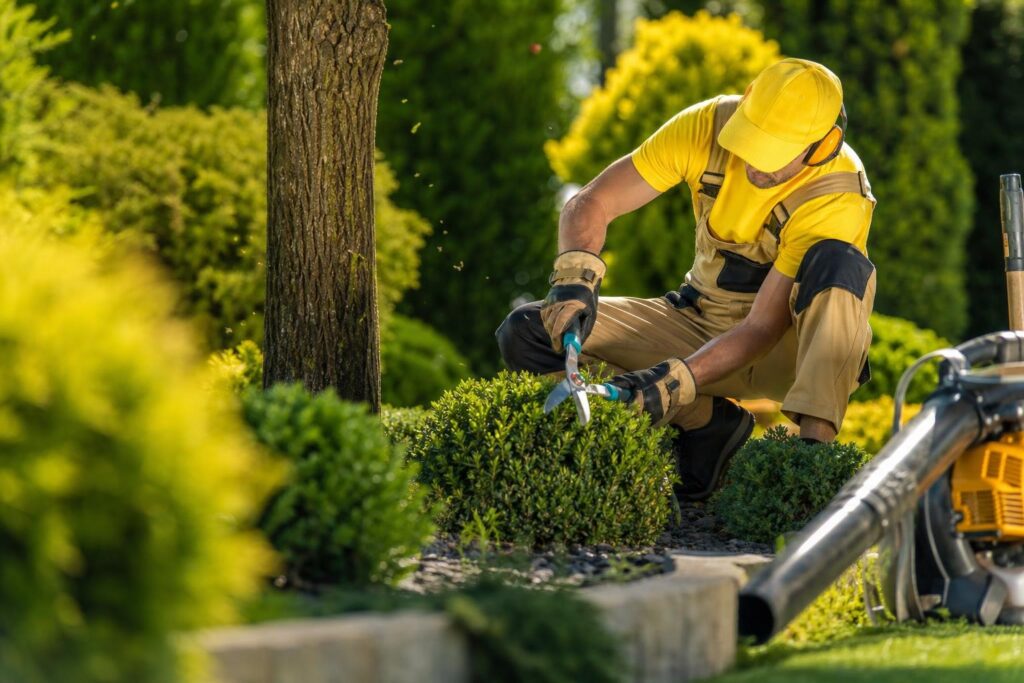 Formación de Reciclaje de PRL para Trabajos de Jardinería